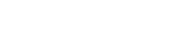 Wchudisk